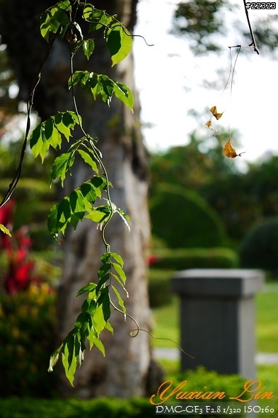 GF3 +14-42 45微 隨手拍~(實拍圖多) GF3 +14-42 45微 隨手拍~(實拍圖多)