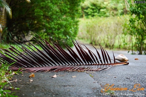 GF3 +14-42 45微 隨手拍~(實拍圖多) GF3 +14-42 45微 隨手拍~(實拍圖多)