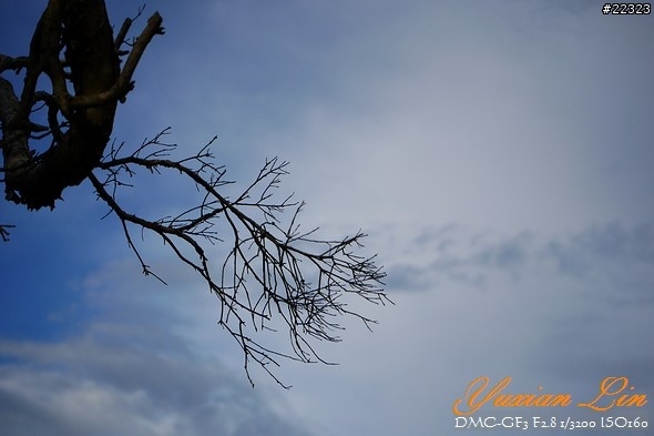 GF3 +14-42 45微 隨手拍~(實拍圖多) GF3 +14-42 45微 隨手拍~(實拍圖多)