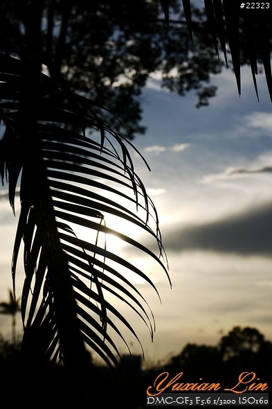 GF3 +14-42 45微 隨手拍~(實拍圖多) GF3 +14-42 45微 隨手拍~(實拍圖多)