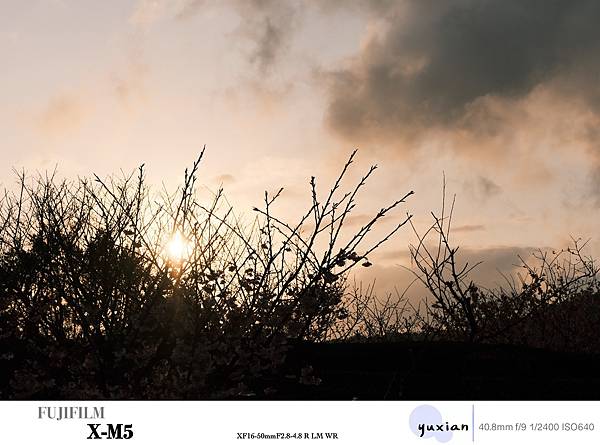 Fujifilm X-M5 小型APSC 口袋微單 - 四個 Fujifilm X-M5 小型APSC 口袋微單 - 四個