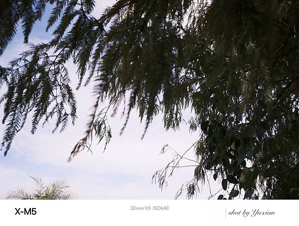 Fujifilm X-M5 小型APSC 口袋微單 - 四個 Fujifilm X-M5 小型APSC 口袋微單 - 四個