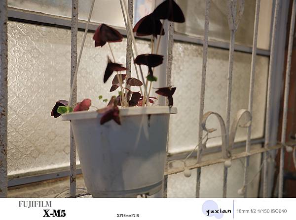 Fujifilm X-M5 小型APSC 口袋微單 - 四個 Fujifilm X-M5 小型APSC 口袋微單 - 四個