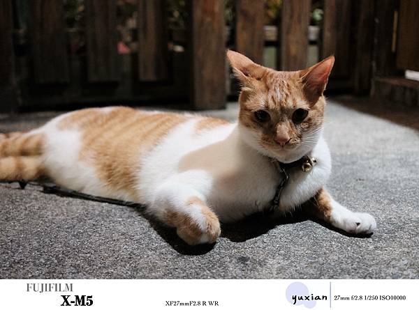 Fujifilm X-M5 小型APSC 口袋微單 - 四個 Fujifilm X-M5 小型APSC 口袋微單 - 四個