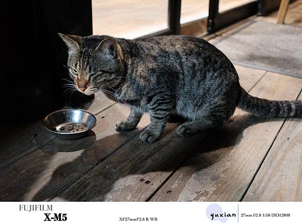 Fujifilm X-M5 小型APSC 口袋微單 - 四個 Fujifilm X-M5 小型APSC 口袋微單 - 四個