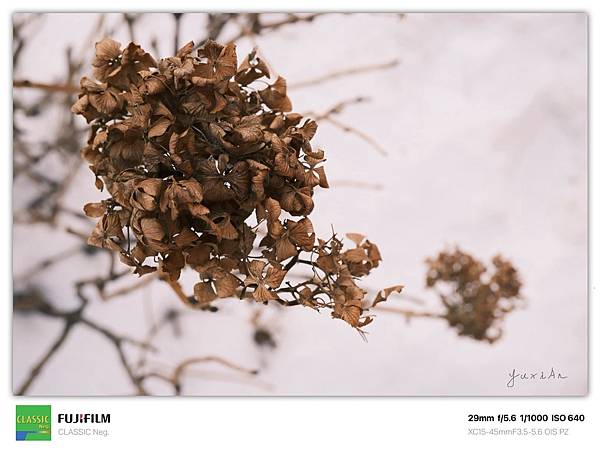 Fujifilm X-M5 小型APSC 口袋微單 - 四個 Fujifilm X-M5 小型APSC 口袋微單 - 四個