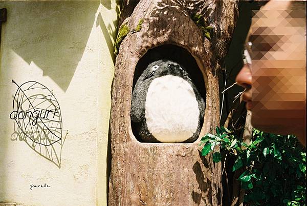 街拍並不是很容易有好照片。