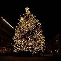 Christmas tree in South Street Seaport