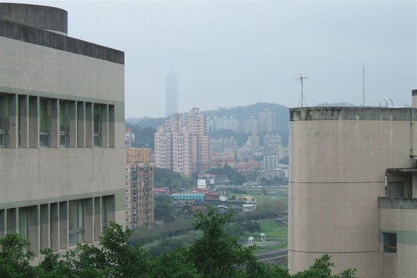 view from Internationl Center