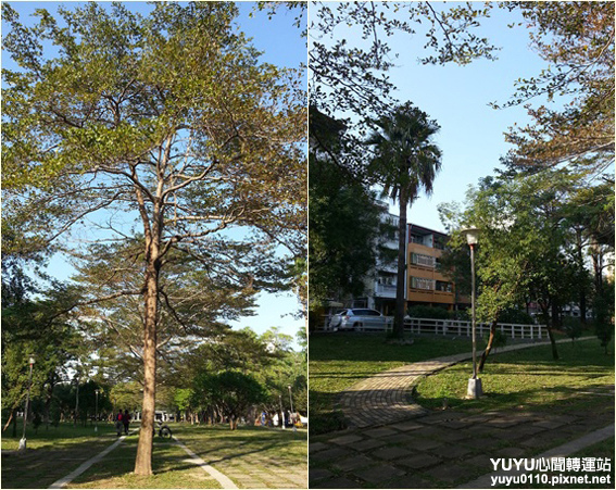 台中市西屯區世貿公園4 台中市西屯區世貿公園4