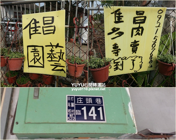 佳昌多肉2 佳昌多肉2