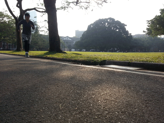 titan太肯功能慢跑襪22 titan太肯功能慢跑襪22