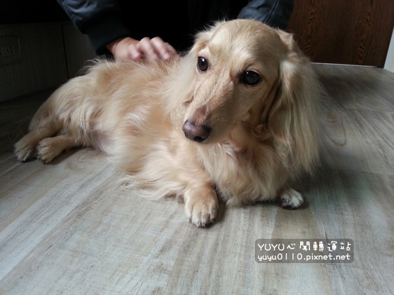 康體運動空間6 康體運動空間6