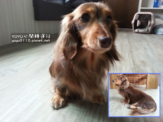 康體運動空間7 康體運動空間7