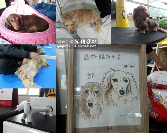 康體運動空間8 康體運動空間8