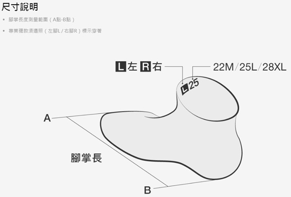 titan生活運動襪+titan專業籃球襪15