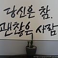 P1010761.JPG