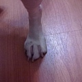 201107202160.jpg