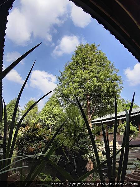 20201013_131509.jpg 20201013_131509.jpg