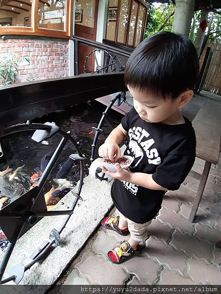 20201013_133053.jpg 20201013_133053.jpg