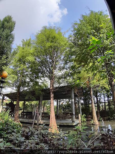 20201013_133323.jpg 20201013_133323.jpg