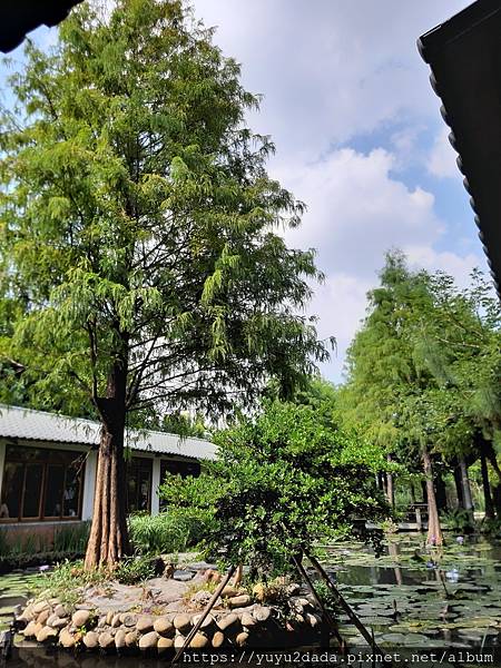 20201013_133216.jpg 20201013_133216.jpg