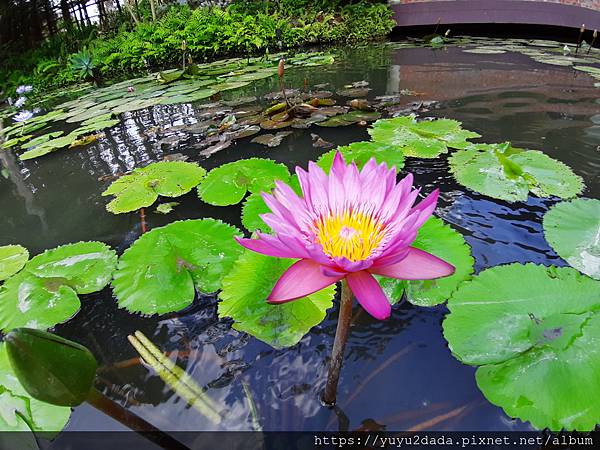 20201013_134003.jpg 20201013_134003.jpg