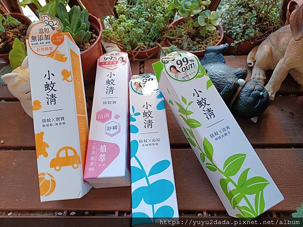 20220311_075339.jpg 20220311_075339.jpg