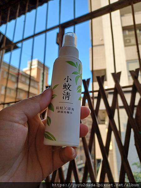 20220311_075704.jpg 20220311_075704.jpg