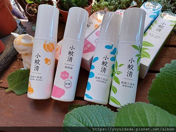 20220311_080500.jpg 20220311_080500.jpg