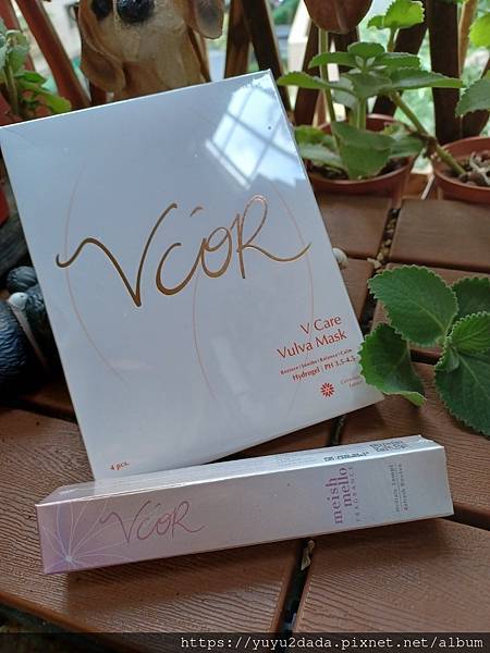 20221219_090235.jpg 20221219_090235.jpg