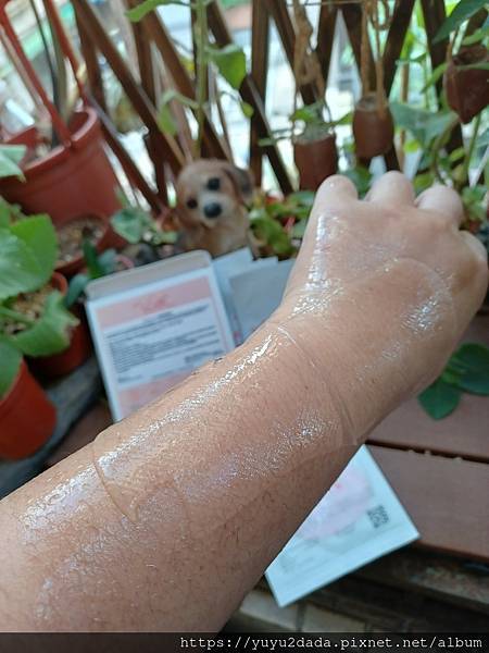 20221219_091717.jpg 20221219_091717.jpg