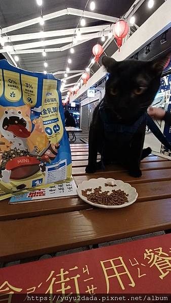 VideoCapture_20230130-045223.jpg VideoCapture_20230130-045223.jpg