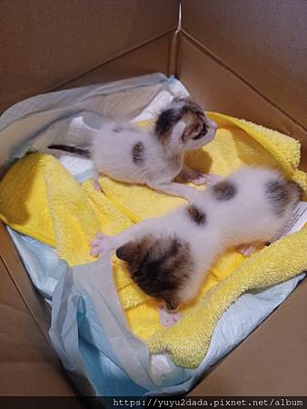 20240430_125026.jpg 20240430_125026.jpg