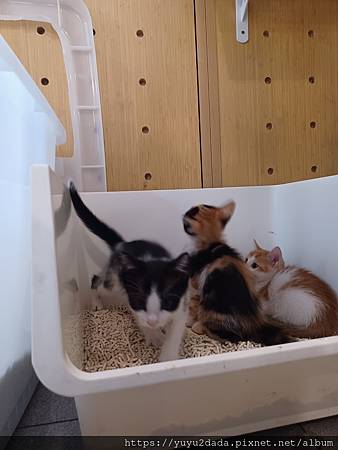 20240430_124355.jpg 20240430_124355.jpg