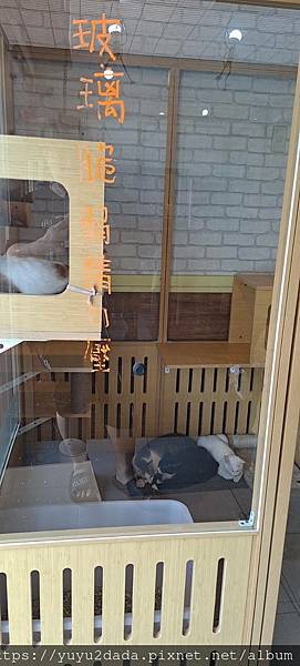 1000021870.jpg 1000021870.jpg