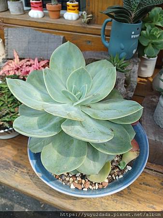 20240430_133723.jpg 20240430_133723.jpg