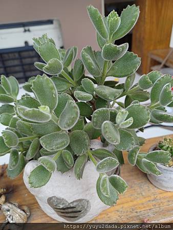 20240430_133739.jpg 20240430_133739.jpg