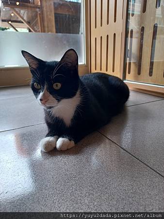 20240430_125106.jpg 20240430_125106.jpg