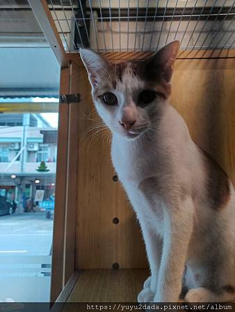 20240430_131759.jpg 20240430_131759.jpg