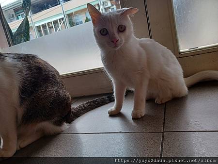 20240430_124530.jpg 20240430_124530.jpg