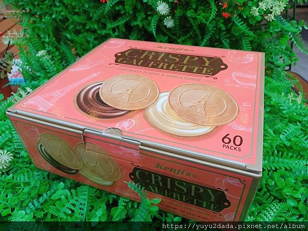 20240816_171544.jpg 20240816_171544.jpg