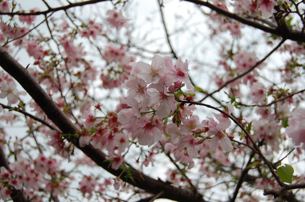 照片 12547.jpg
