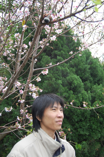 照片 12616.jpg
