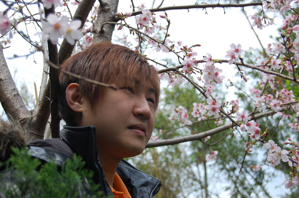 照片 12634.jpg