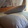 IMG_2579_rotationpillow7.jpg