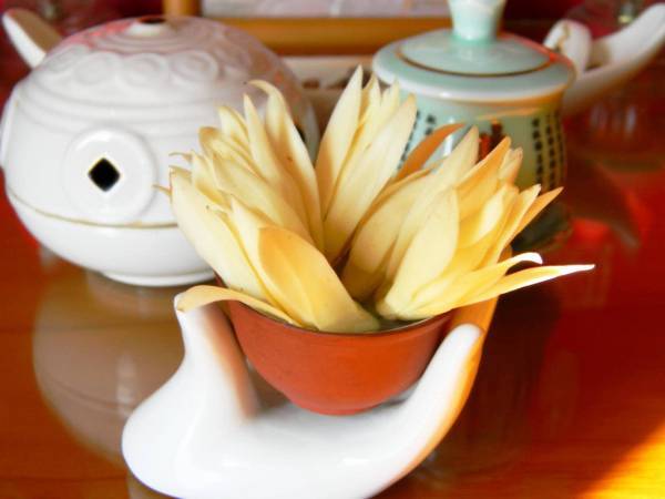 11090901_983465221678857_4739590785656761567_o.jpg 11090901_983465221678857_4739590785656761567_o.jpg