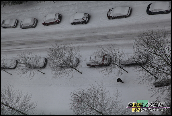 991125_溫哥華第二場積雪5D2_0001.jpg