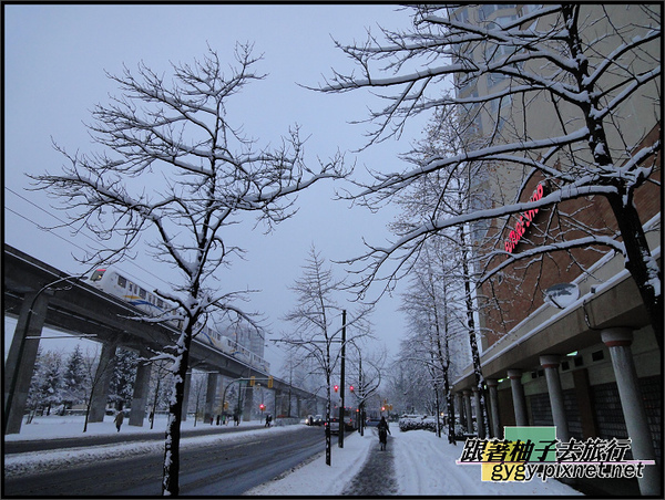 991125_溫哥華第二場積雪0049.jpg