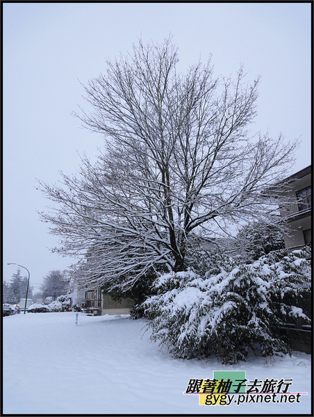 991125_溫哥華第二場積雪0064.jpg